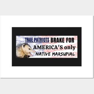 I brake for America's only native marsupial - Funny opossum bumper Posters and Art